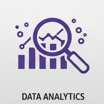 Data Analysiss icon